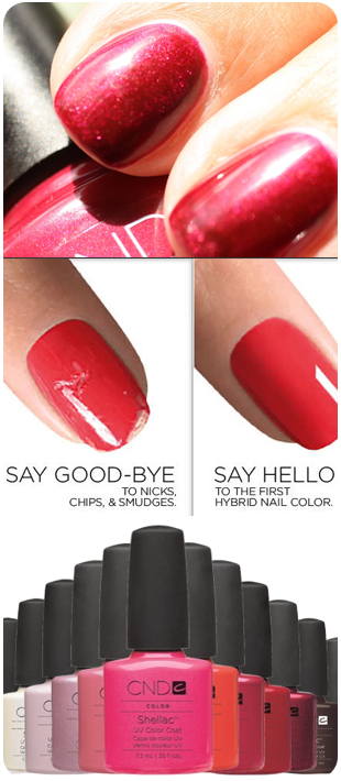Shellac Nails - MD Nails Shellac Nails - MD Nails